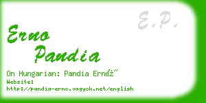 erno pandia business card